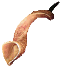 Eze 33:3 If when he seeth the sword come upon the land, he blow the trumpet, and warn the people